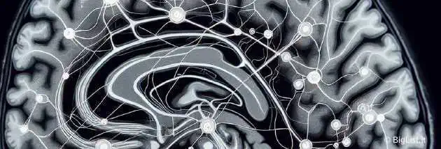 MRI scans analyzing brain circuits in depression and anxiety studies